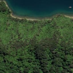 Satellite imagery of CC (Linkwater SD), NZ
