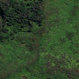 Satellite imagery of REF ONAHAU, NZ