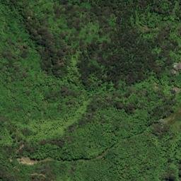 Satellite imagery of REF ONAHAU, NZ