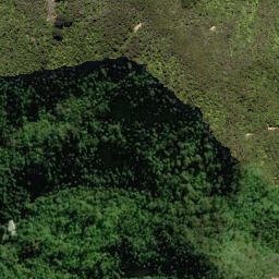 Satellite imagery of Pariwhero Point, NZ