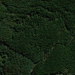 Satellite imagery of Cuckoo Hill, AU