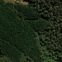 Satellite imagery of Cuckoo Hill, AU