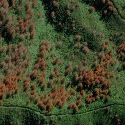 Satellite imagery of Wiriwaka Point, NZ