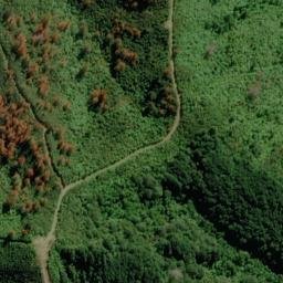 Satellite imagery of Puhe Point, NZ