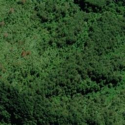 Satellite imagery of Puhe Point, NZ