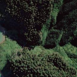 Satellite imagery of Tokakaroro Point, NZ