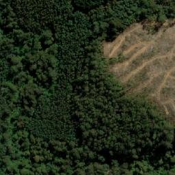 Satellite imagery of Cuckoo Hill, AU