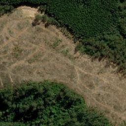 Satellite imagery of Cuckoo Hill, AU