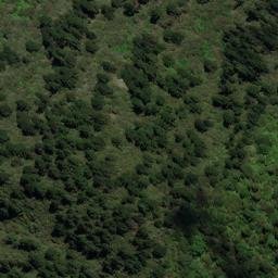 Satellite imagery of OH ONAHAU, NZ