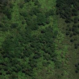 Satellite imagery of OH ONAHAU, NZ