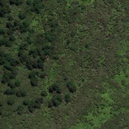 Satellite imagery of OH ONAHAU, NZ