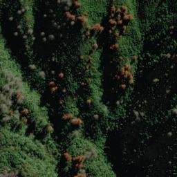Satellite imagery of Wiriwaka Point, NZ