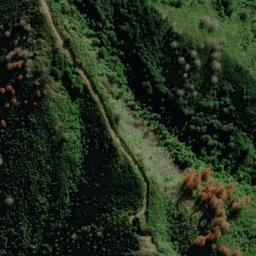 Satellite imagery of Puhe Point, NZ