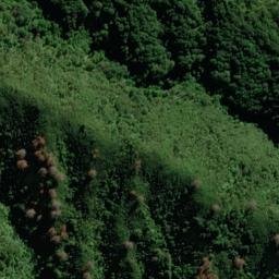Satellite imagery of Puhe Point, NZ