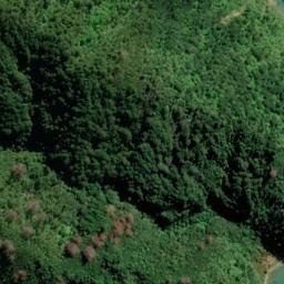 Satellite imagery of Puhe Point, NZ