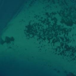 Satellite imagery of Tokakaroro Point, NZ