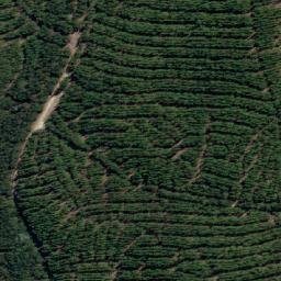Satellite imagery of Dalgarth Hill, AU