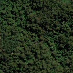 Satellite imagery of Cuckoo Hill, AU