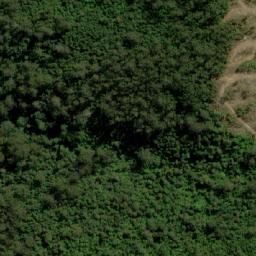 Satellite imagery of Cuckoo Hill, AU