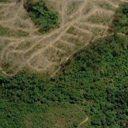 Satellite imagery of Cuckoo Hill, AU