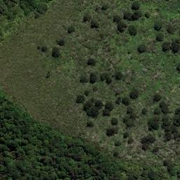 Satellite imagery of Black Point, NZ