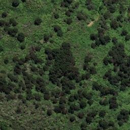 Satellite imagery of Black Point, NZ
