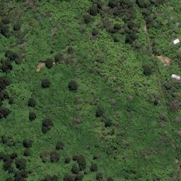 Satellite imagery of Black Point, NZ