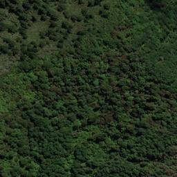 Satellite imagery of OH ONAHAU, NZ