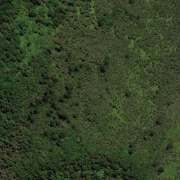 Satellite imagery of OH ONAHAU, NZ