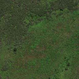 Satellite imagery of OH ONAHAU, NZ