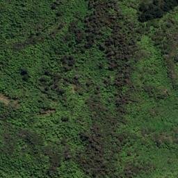 Satellite imagery of Hautehoro Point, NZ