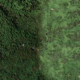 Satellite imagery of Ngatawhetawheta Point, NZ