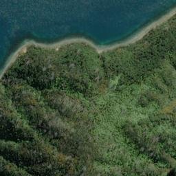 Satellite imagery of Dieffenbach Point, NZ