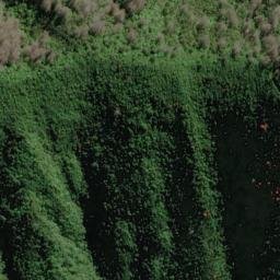 Satellite imagery of Ngaionui Point, NZ