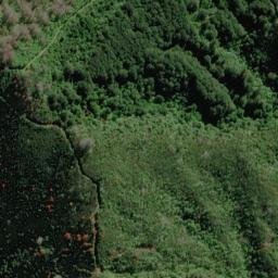 Satellite imagery of Ngaionui Point, NZ