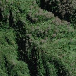 Satellite imagery of Ngaionui Point, NZ