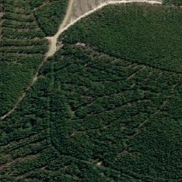 Satellite imagery of Dalgarth Hill, AU