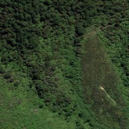 Satellite imagery of Black Point, NZ