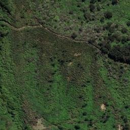 Satellite imagery of Black Point, NZ