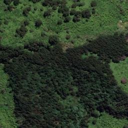 Satellite imagery of Black Point, NZ