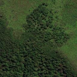 Satellite imagery of OH ONAHAU, NZ