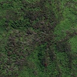 Satellite imagery of Hautehoro Point, NZ