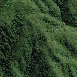 Satellite imagery of Ruaomoko Point, NZ