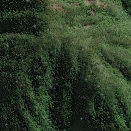 Satellite imagery of Ngaionui Point, NZ