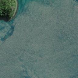 Satellite imagery of Tapapaweka Point, NZ