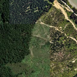 Satellite imagery of Kaiuma Point, NZ
