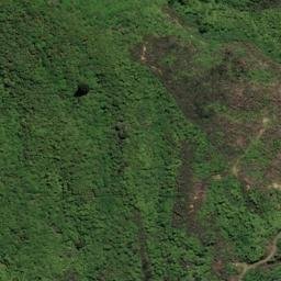 Satellite imagery of Black Point, NZ