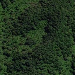 Satellite imagery of Puroa Point, NZ