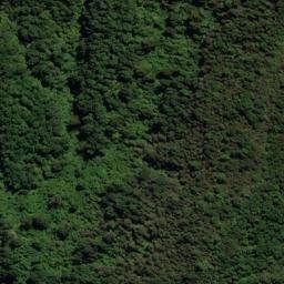 Satellite imagery of Puroa Point, NZ