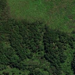 Satellite imagery of Houhou Point, NZ